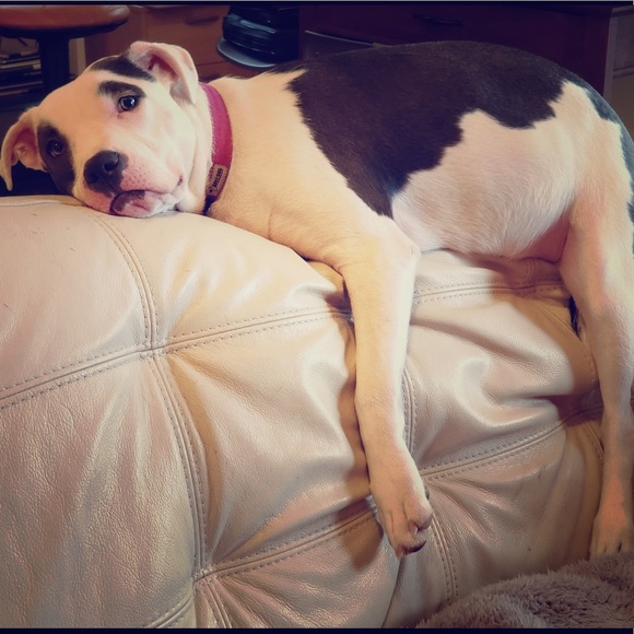 Go ahead... make an offer... mommy says it’s ok... - Picture 1 of 1